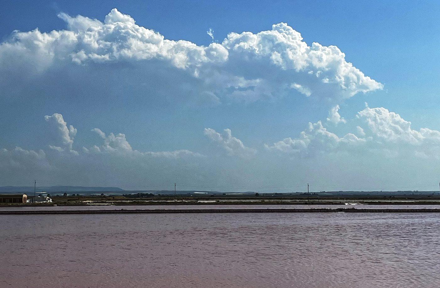 Le saline rosa